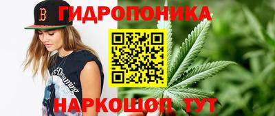 сатива Заводоуковск