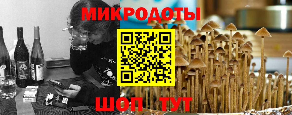 Галлюциногенные грибы GOLDEN TEACHER Магадан