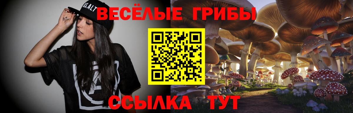Псилоцибиновые грибы прущие грибы  Вход с VPN  Магадан 